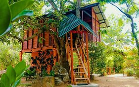 Sigiri Sky Home & Treehouse